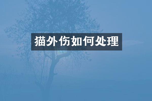 猫外伤如何处理