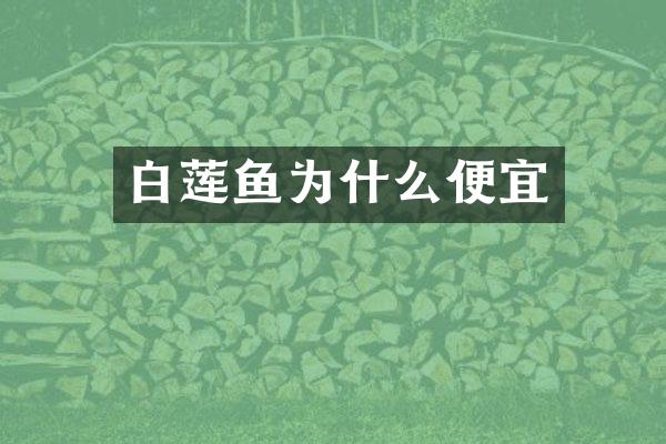 白莲鱼为什么便宜