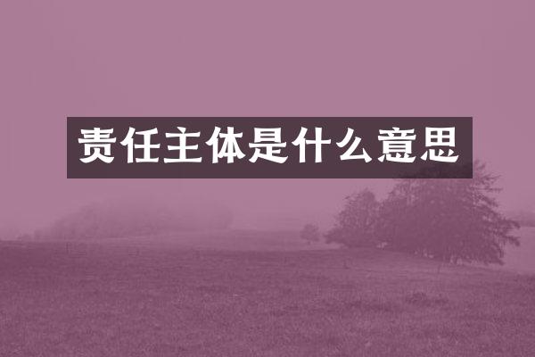 责任主体是什么意思