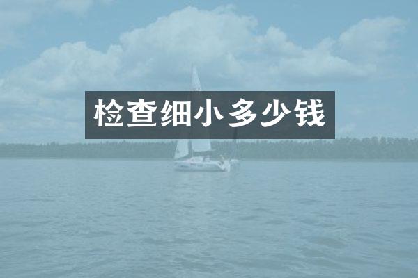 检查细小多少钱