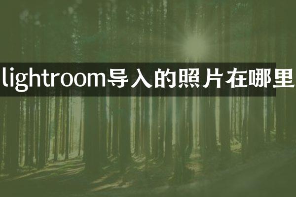 lightroom导入的照片在哪里