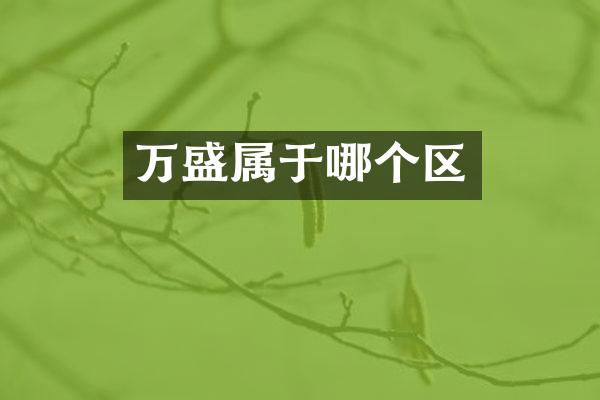 万盛属于哪个区