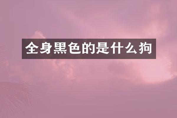 全身黑色的是什么狗