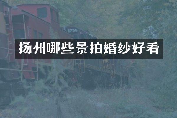 扬州哪些景拍婚纱好看