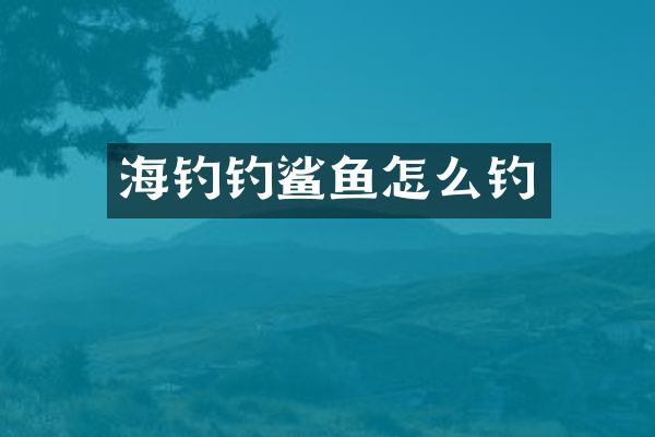 海钓钓鲨鱼怎么钓