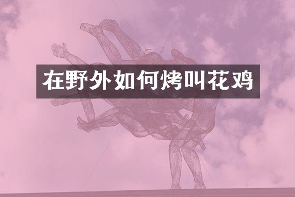 在野外如何烤叫花鸡