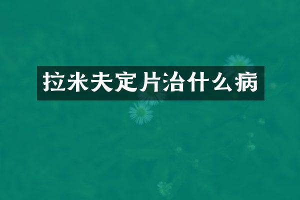 拉米夫定片治什么病