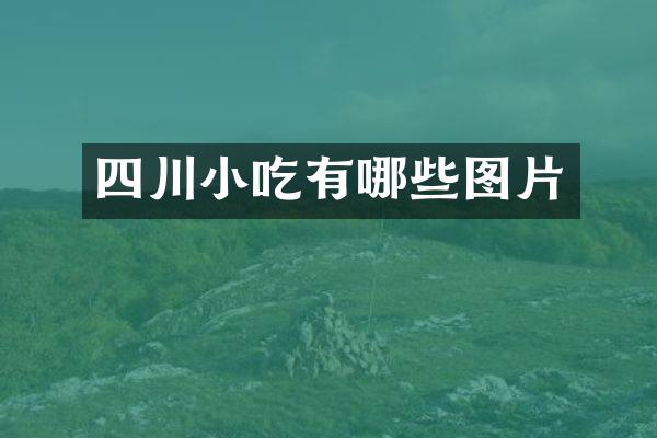 四川小吃有哪些图片