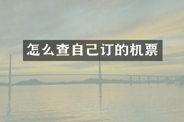 怎么查自己订的机票