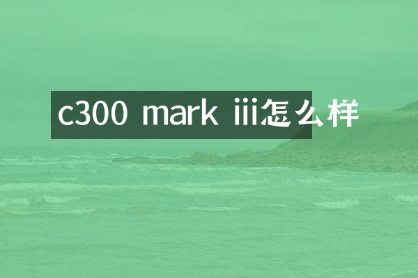 c300 mark iii怎么样