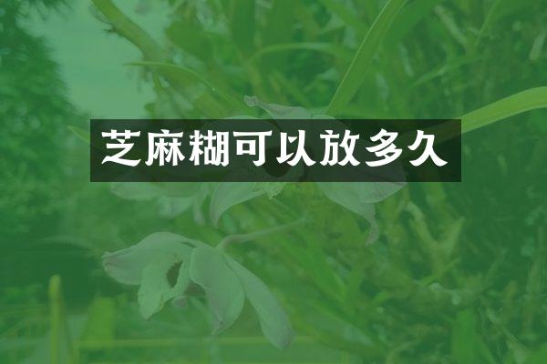 芝麻糊可以放多久