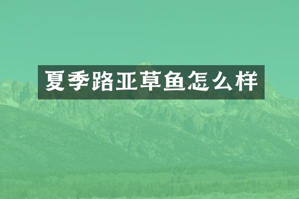 夏季路亚草鱼怎么样