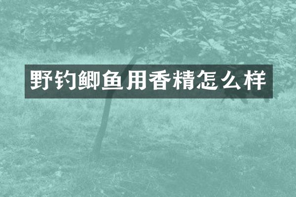 野钓鲫鱼用香精怎么样