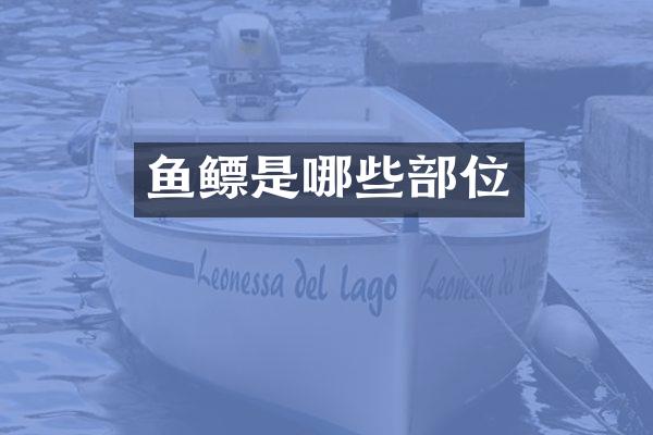 鱼鳔是哪些部位