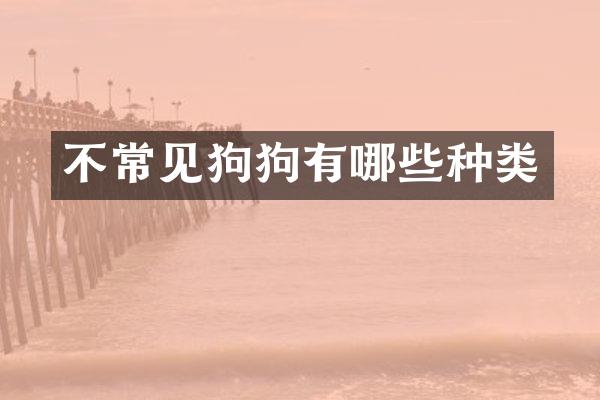 不常见狗狗有哪些种类