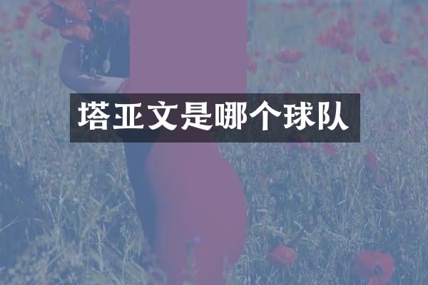 塔亚文是哪个球队