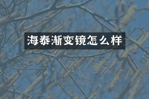 海泰渐变镜怎么样