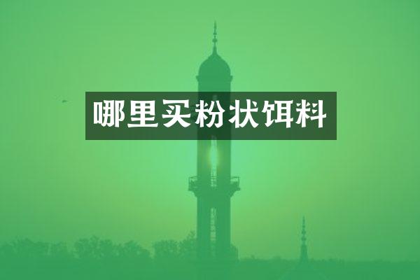 哪里买粉状饵料