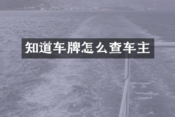 知道车牌怎么查车主