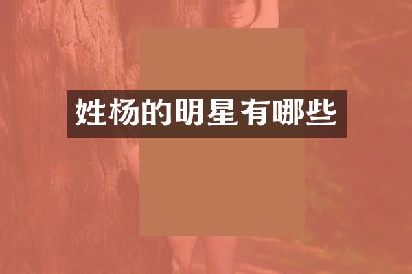 姓杨的明星有哪些