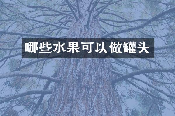 哪些水果可以做罐头