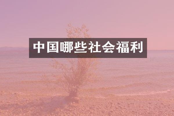 中国哪些社会福利