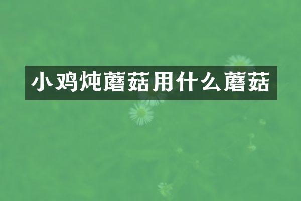 小鸡炖蘑菇用什么蘑菇