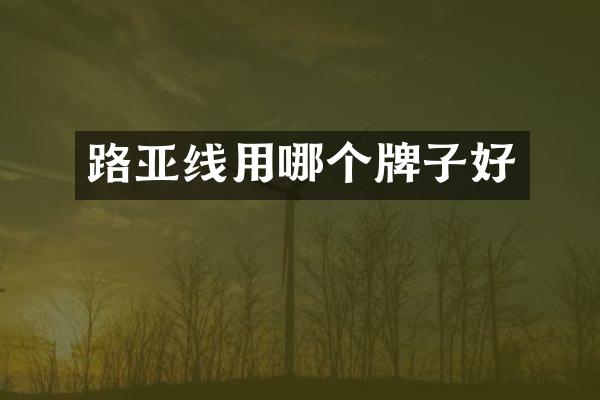 路亚线用哪个牌子好