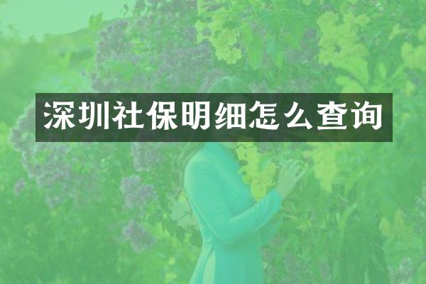 深圳社保明细怎么查询