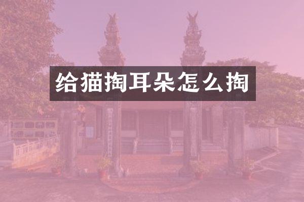 给猫掏耳朵怎么掏