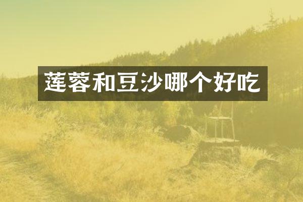 莲蓉和豆沙哪个好吃