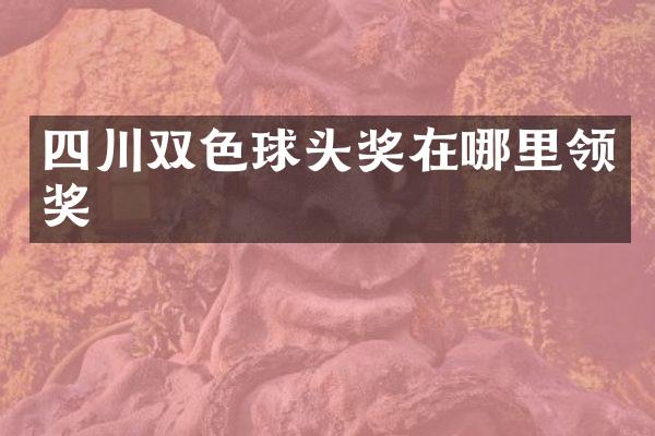 四川双色球头奖在哪里领奖