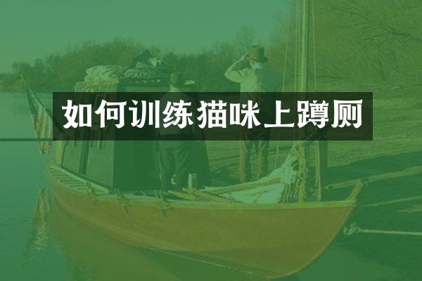 如何训练猫咪上蹲厕