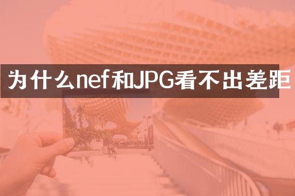 为什么nef和JPG看不出差距