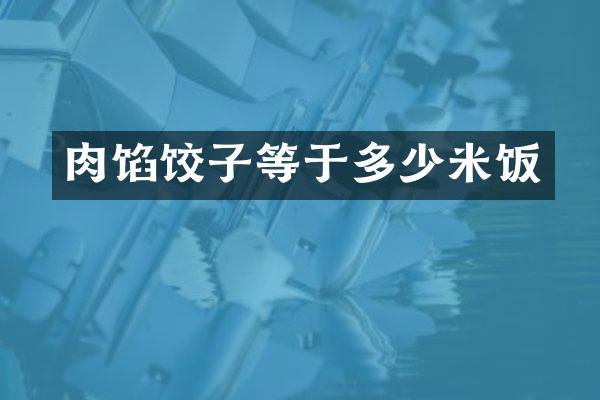肉馅饺子等于多少米饭