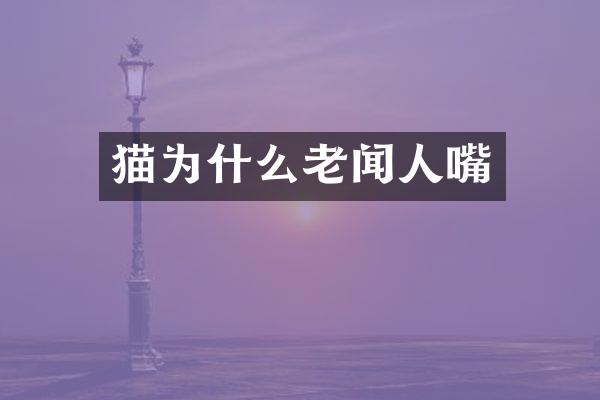 猫为什么老闻人嘴
