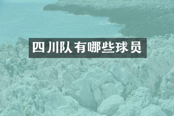 四川队有哪些球员