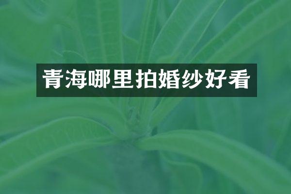 青海哪里拍婚纱好看