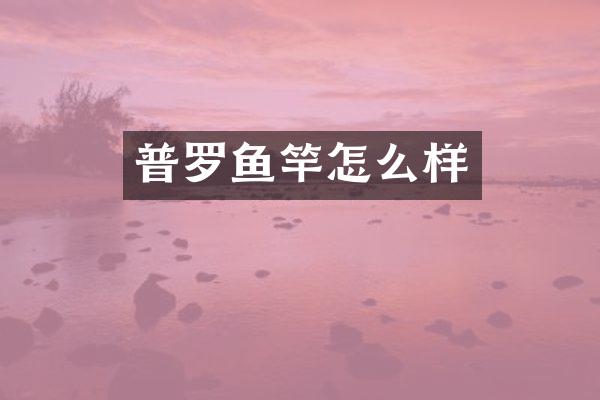 普罗鱼竿怎么样