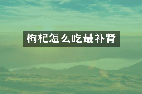 枸杞怎么吃最补肾