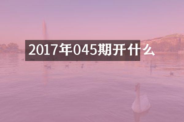 2017年045期开什么