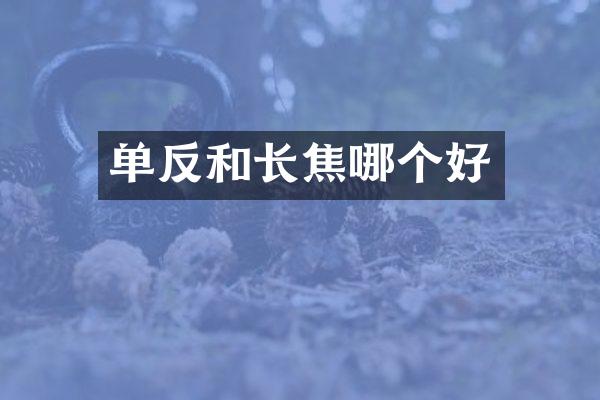 单反和长焦哪个好