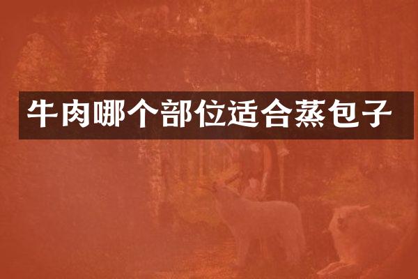 牛肉哪个部位适合蒸包子
