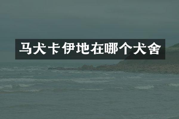 马犬卡伊地在哪个犬舍
