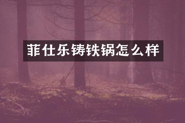 菲仕乐铸铁锅怎么样