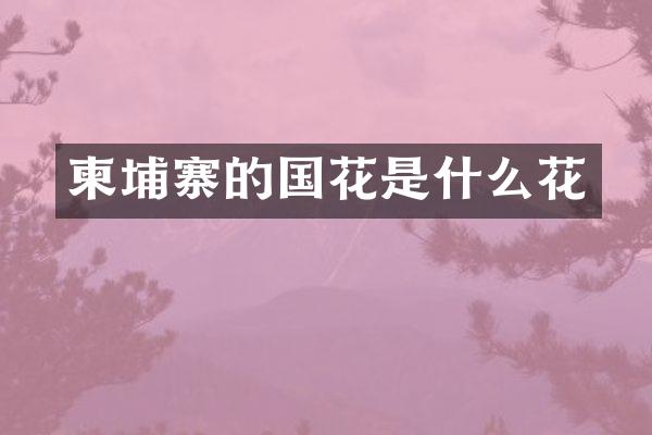 柬埔寨的国花是什么花