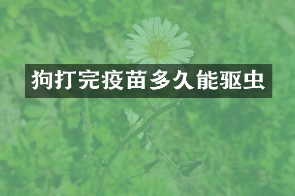 狗打完疫苗多久能驱虫