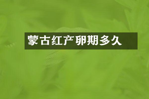 蒙古红鲌产卵期多久