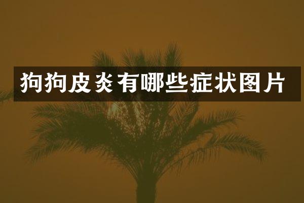 狗狗皮炎有哪些症状图片