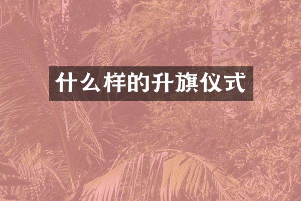 什么样的升旗仪式